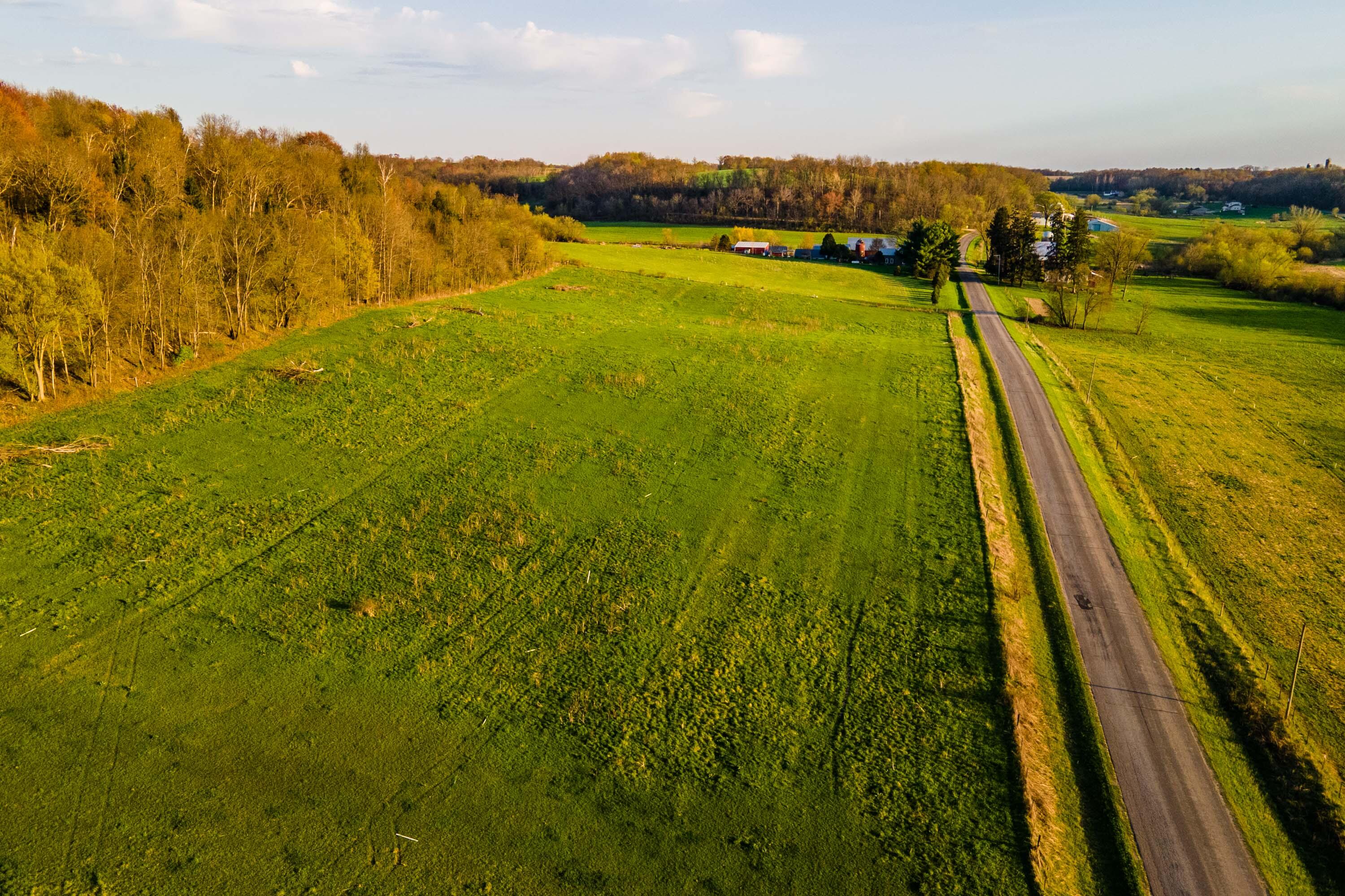 Lt1 Eli Valley Road Loganville, WI 53943 - Photo 7 of 71 Sauk-County-WI-90-Acres-Land-For-Sale-7