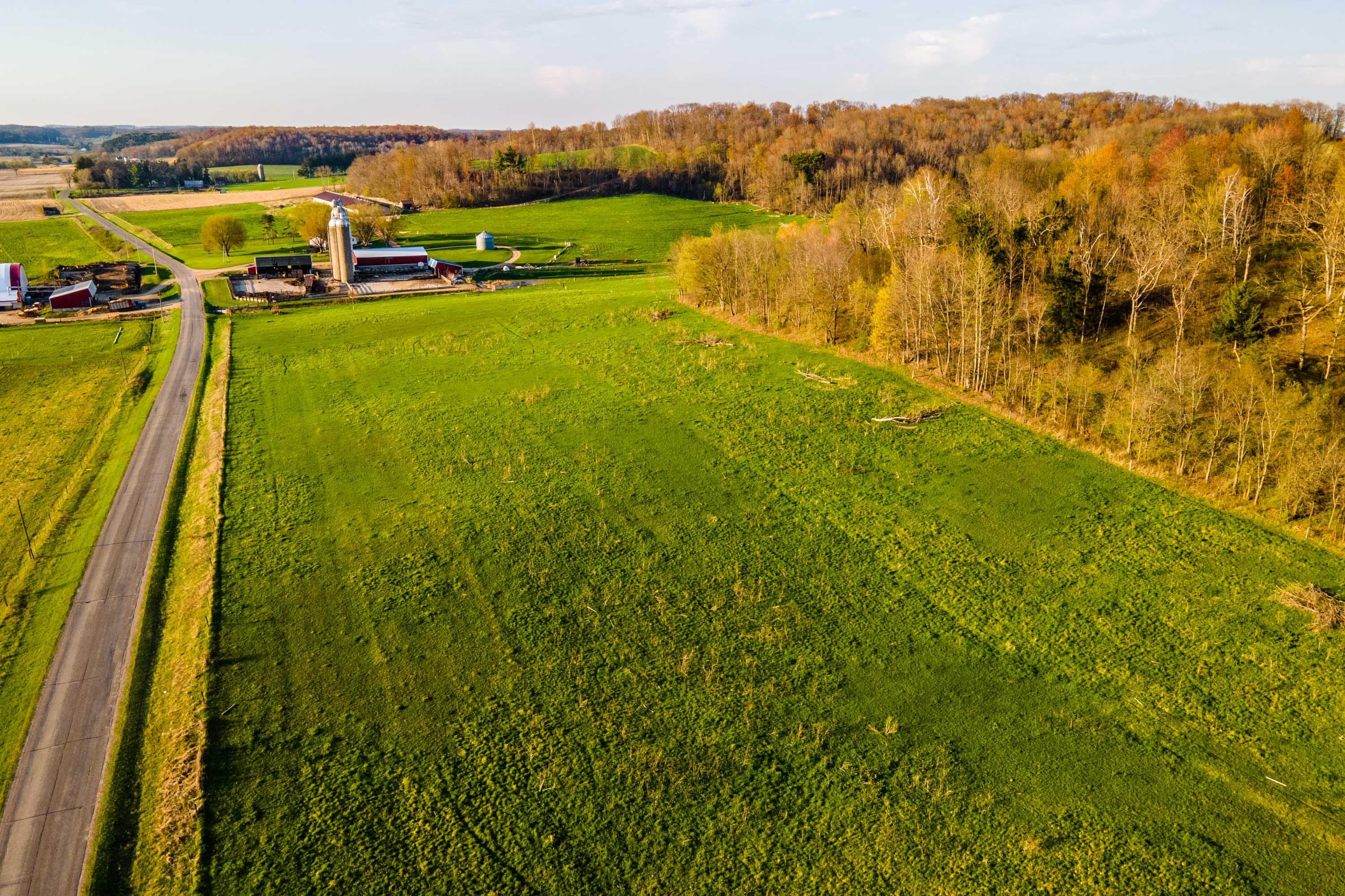 Lt1 Eli Valley Road Loganville, WI 53943 - Photo 8 of 71 Sauk-County-WI-90-Acres-Land-For-Sale-8