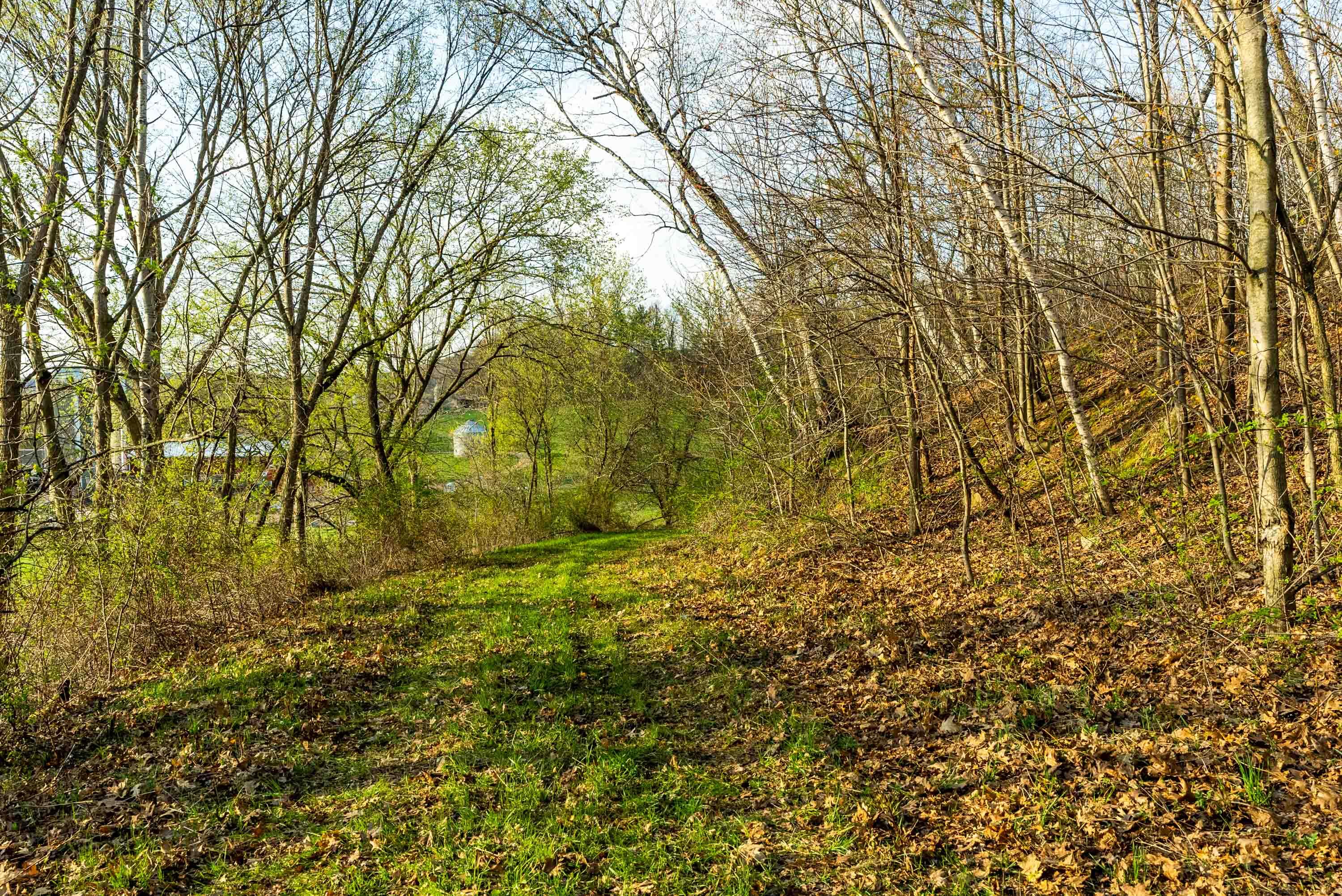 Lt1 Eli Valley Road Loganville, WI 53943 - Photo 10 of 71 Sauk-County-WI-90-Acres-Land-For-Sale-10