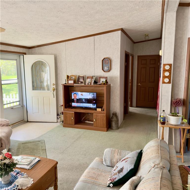 132 Markum Road Gravois Mills, MO 65037 - Photo 3 of 27