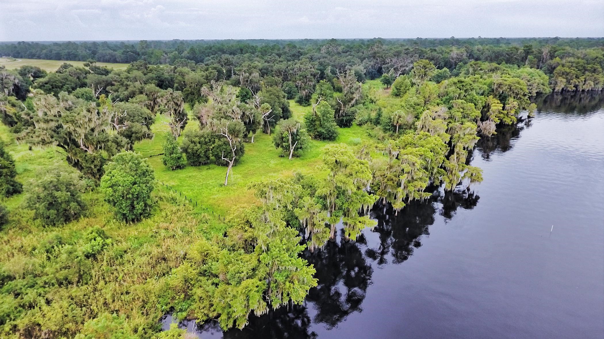 14435 Andalusia Trail Bunnell, FL 32110 - Photo 18 of 25 a view of a lush green forest with trees in the background