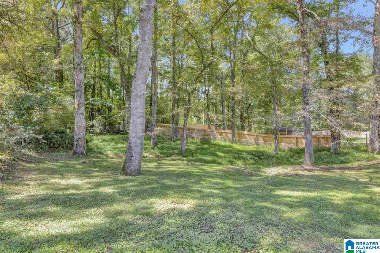 9382 Marsh Mountain Road Pinson, AL 35126 - Photo 4 of 20