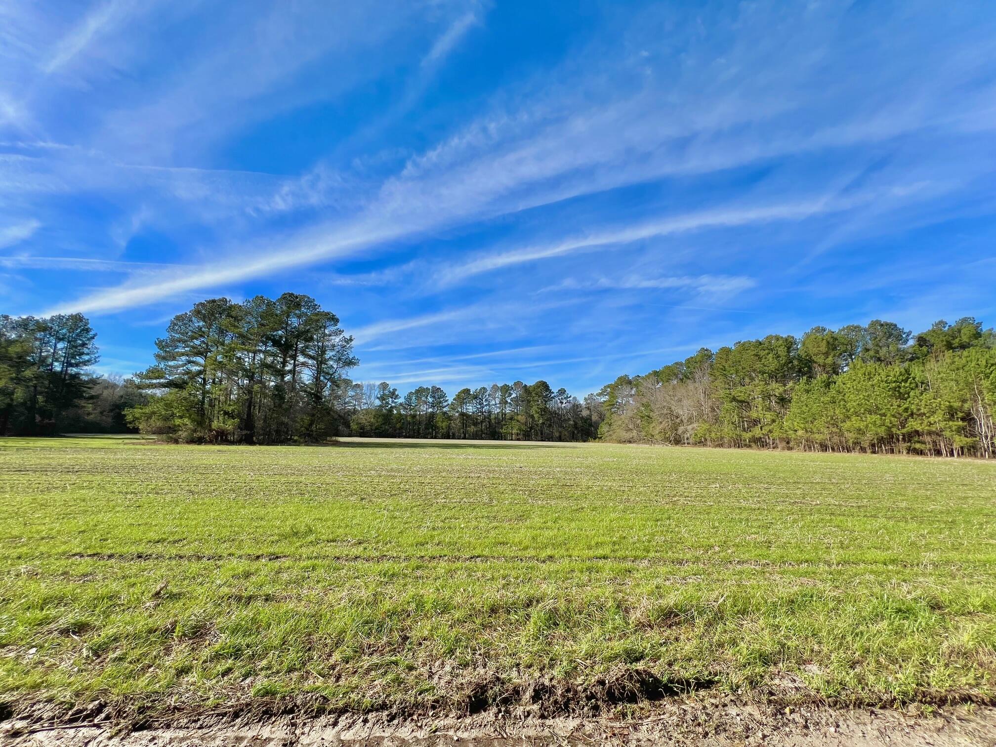1 Radio Road St. George, SC 29477 - Photo 1 of 3 F1
