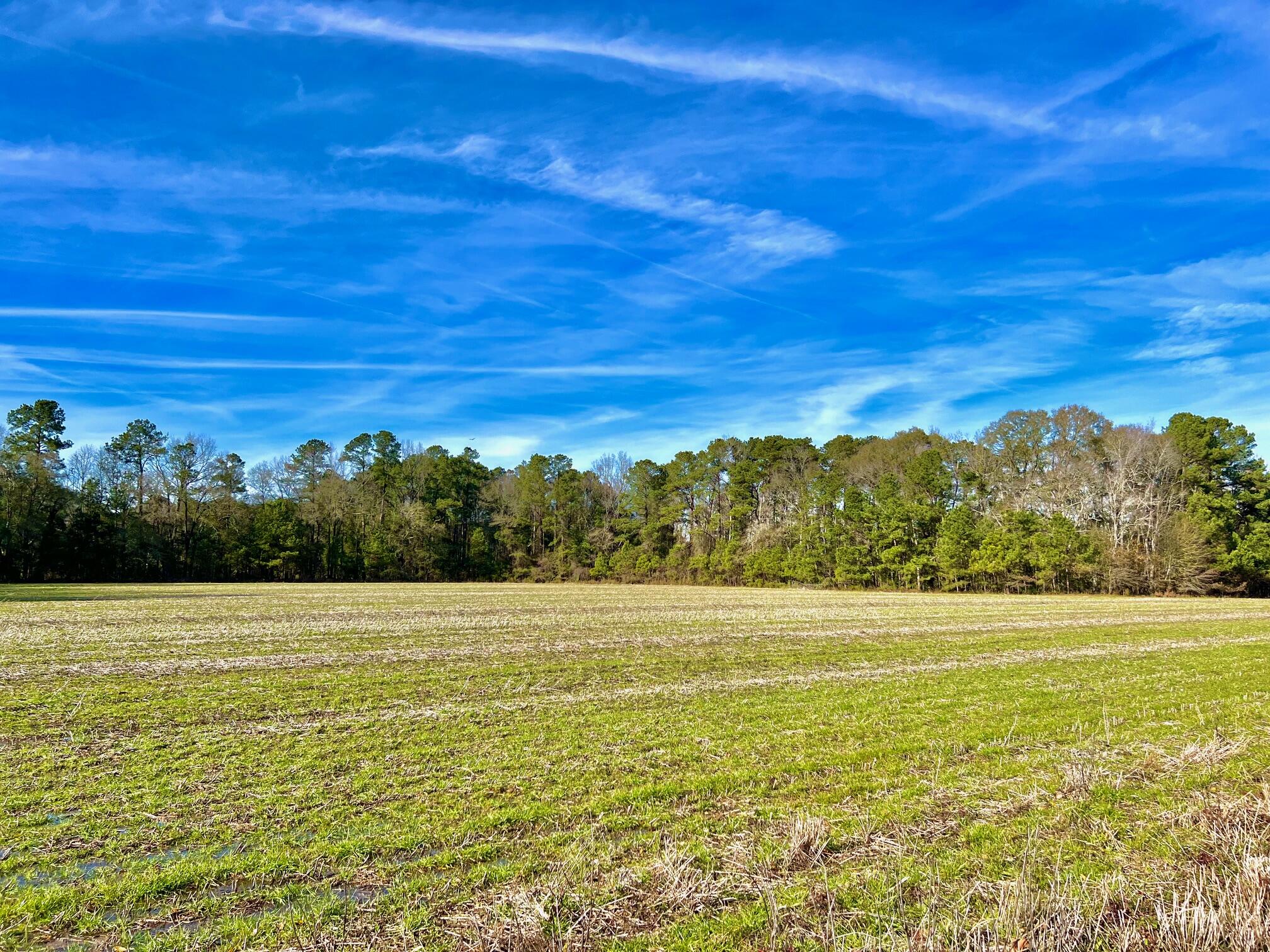 1 Radio Road St. George, SC 29477 - Photo 2 of 3 f3