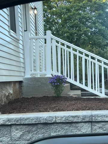 a view of a trees in a park