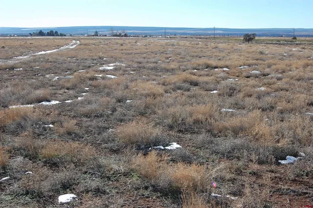 a view of a lake view and covered with trees