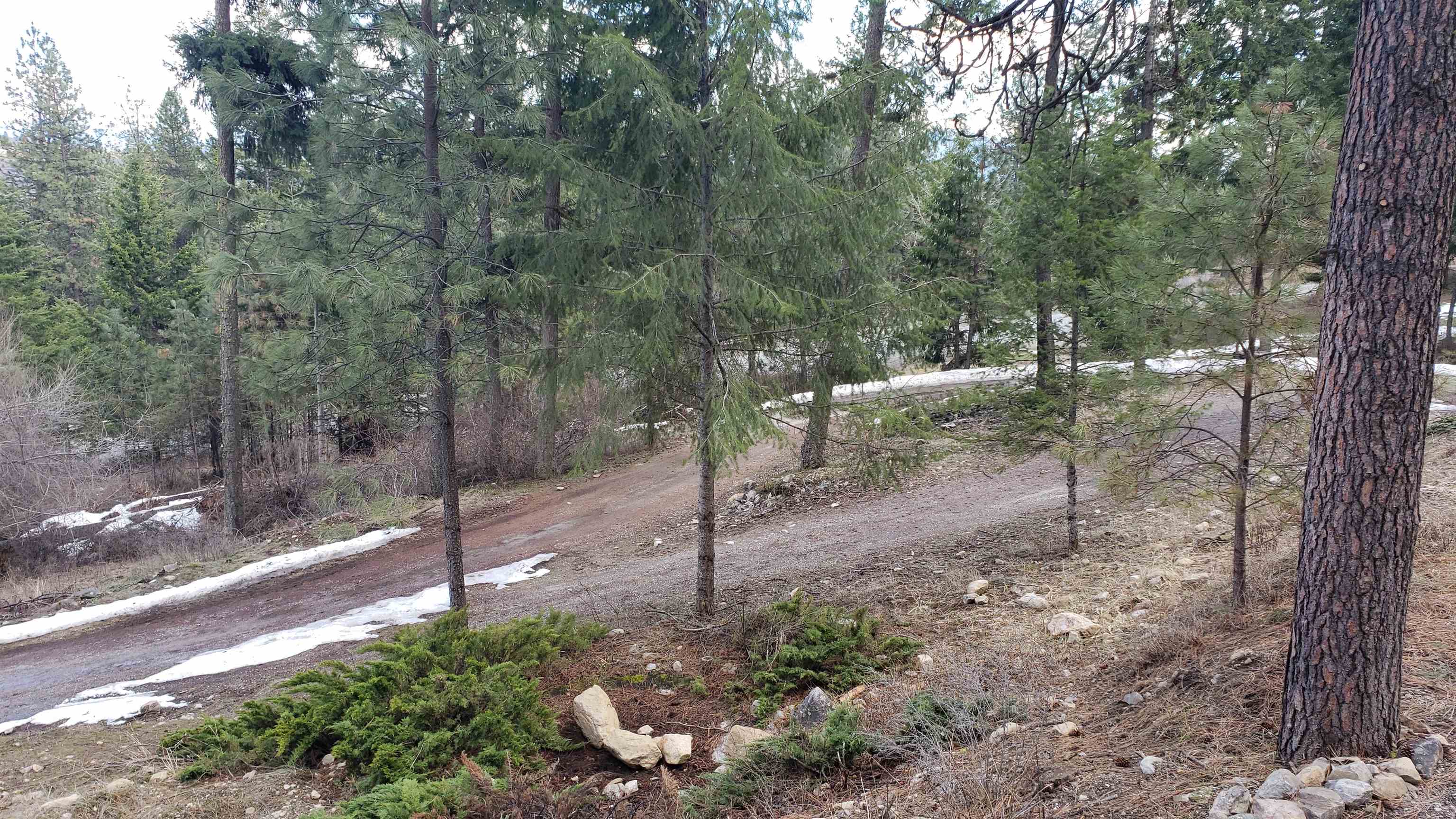 510 Orin-Rice Road Colville, WA 99114 - Photo 25 of 37