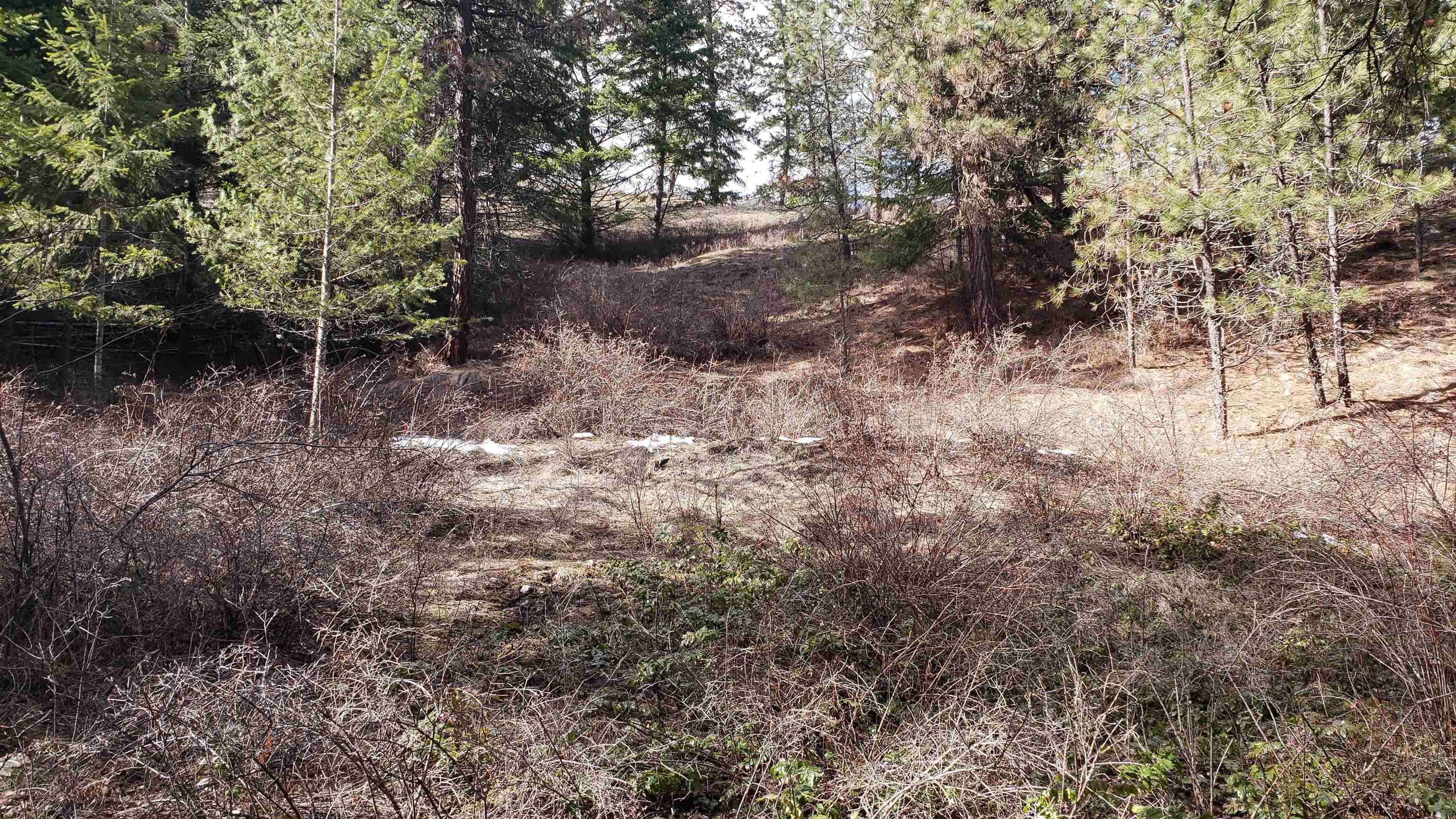510 Orin-Rice Road Colville, WA 99114 - Photo 33 of 37