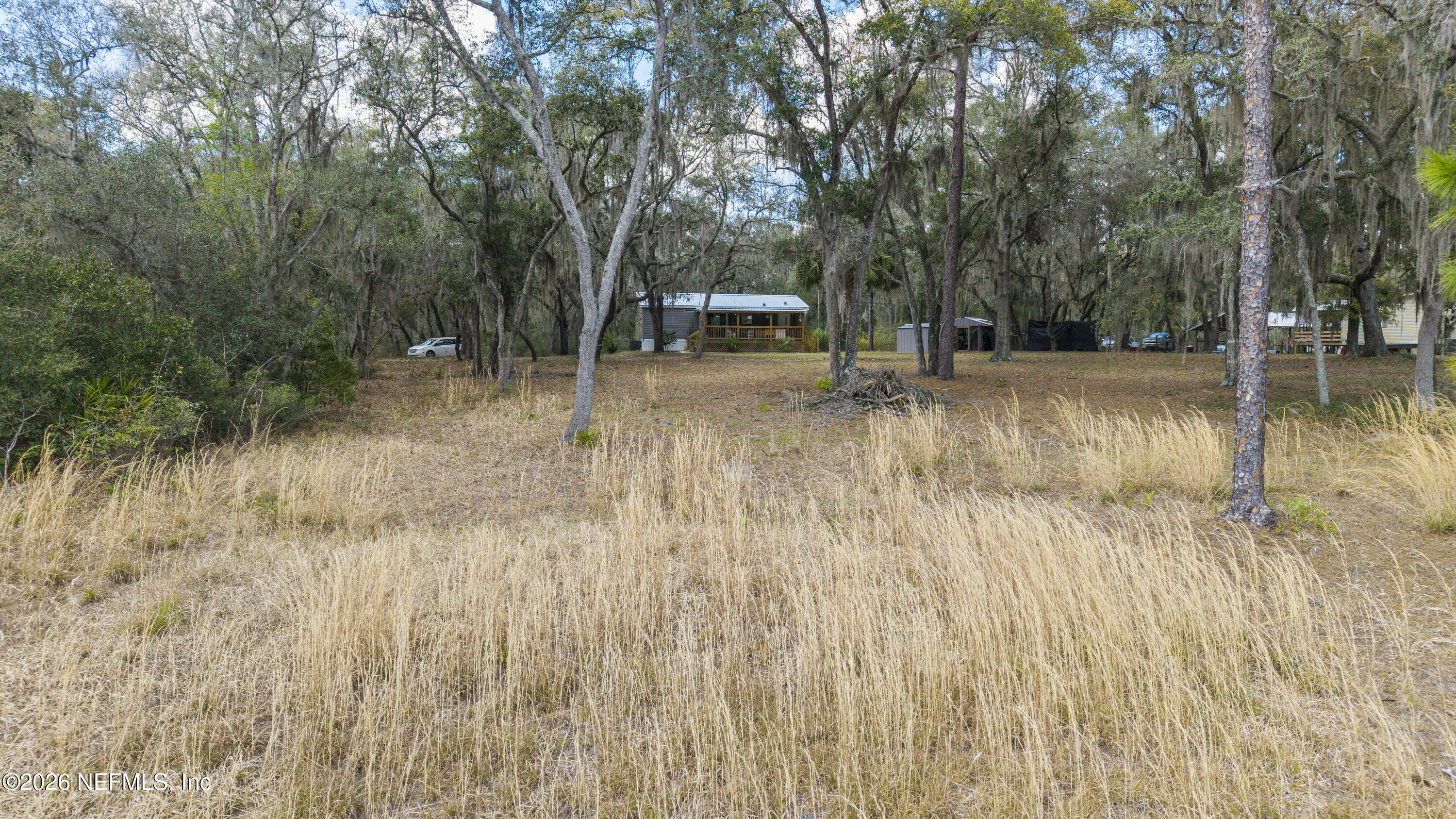 167 West Strickland Road Interlachen, FL 32148 - Photo 30 of 59 a view of a backyard with trees