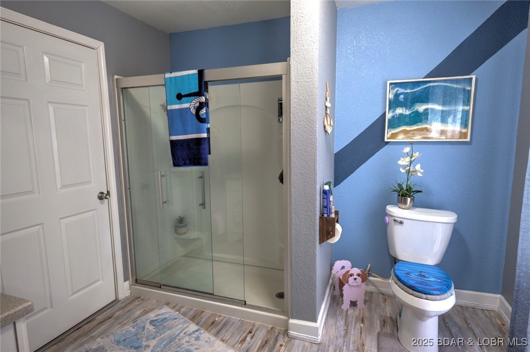 736 Everly Loop Camdenton, MO 65020 - Photo 15 of 28 primary bathroom