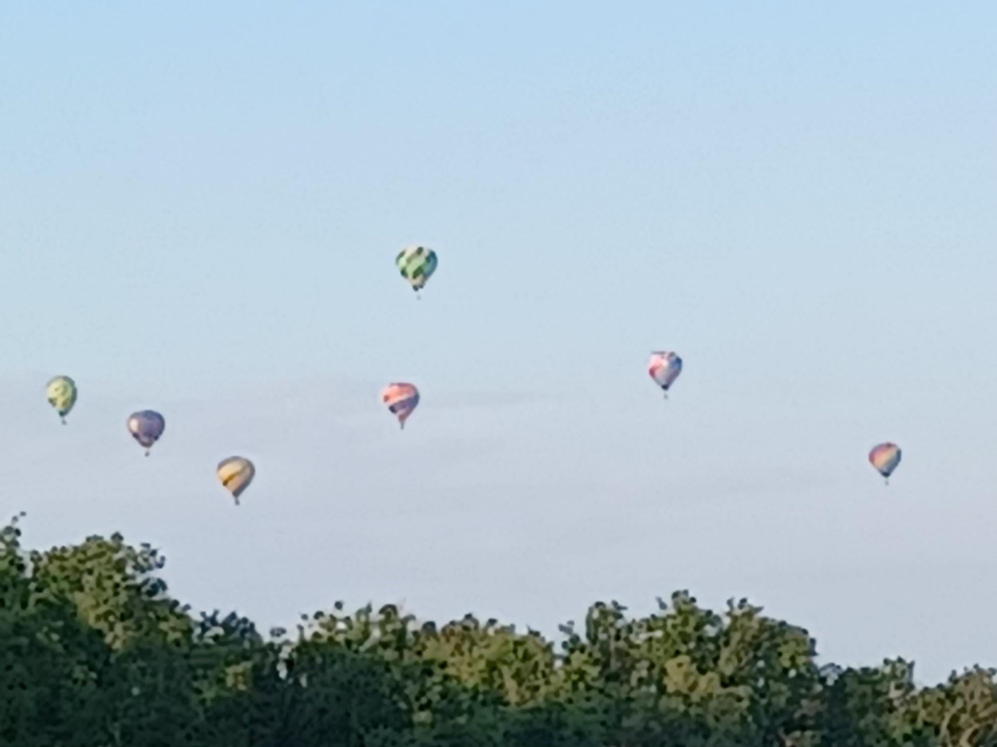 18926 Isleworth Way Foley, AL 36535 - Photo 33 of 33 Seller photo: Ballon Fest