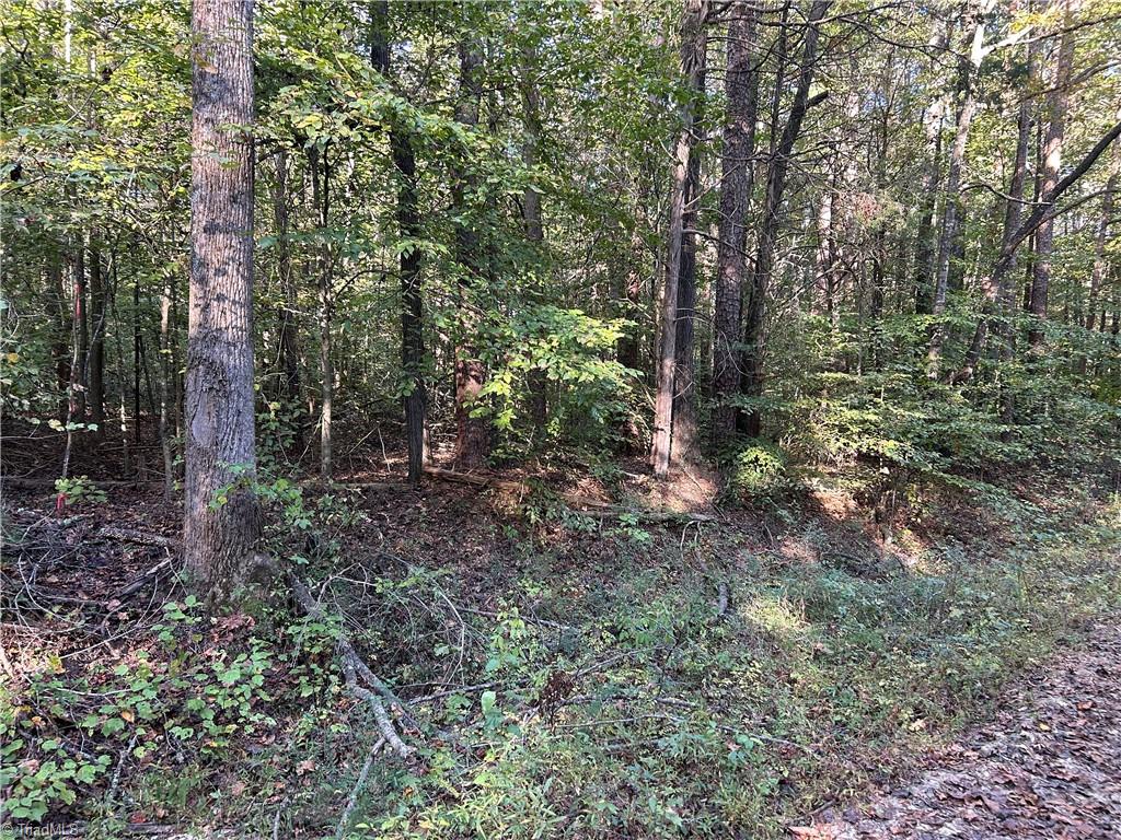 281 Everhart Road Mocksville, NC 27028 - Photo 2 of 2 Gallery Image 2