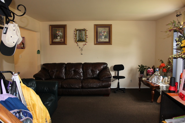1178 Nantucket Road Aurora, IL 60506 - Photo 18 of 24 a living room with furniture and a mirror