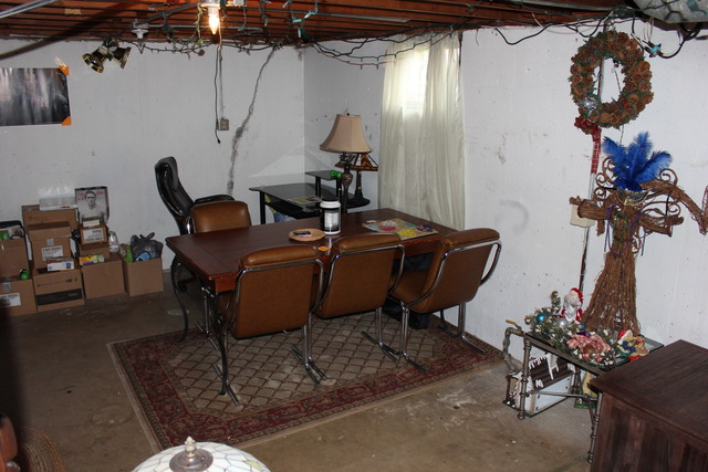 1178 Nantucket Road Aurora, IL 60506 - Photo 10 of 24 a living room with furniture and a potted plant