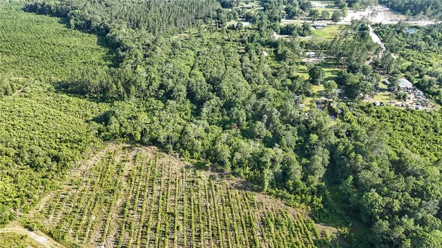 $33,900 | 0 Foxwood Road, Nahunta, GA 31553