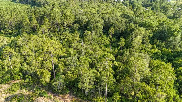 $33,900 | 0 Foxwood Road, Nahunta, GA 31553