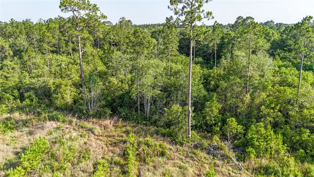 $33,900 | 0 Foxwood Road, Nahunta, GA 31553