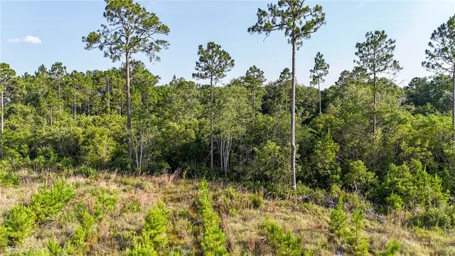 $33,900 | 0 Foxwood Road, Nahunta, GA 31553