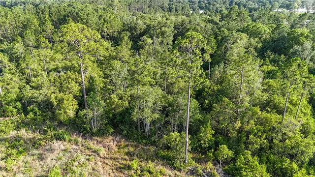 $33,900 | 0 Foxwood Road, Nahunta, GA 31553