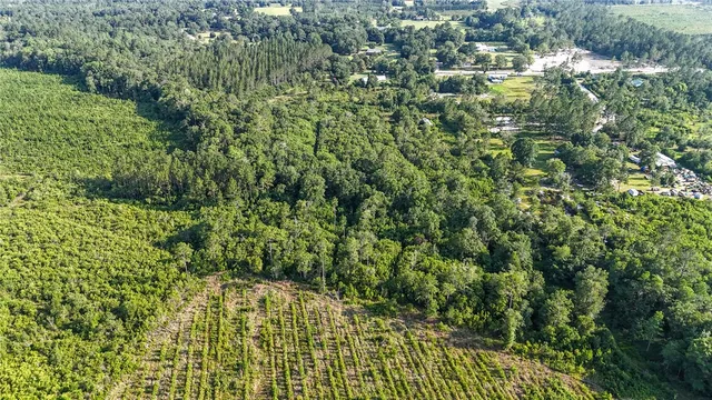 $33,900 | 0 Foxwood Road, Nahunta, GA 31553