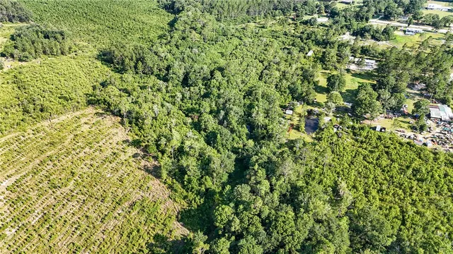 $33,900 | 0 Foxwood Road, Nahunta, GA 31553