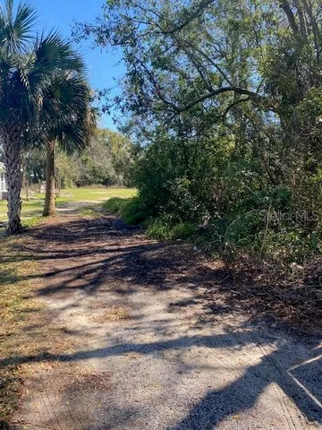 a view of a beach with a big yard