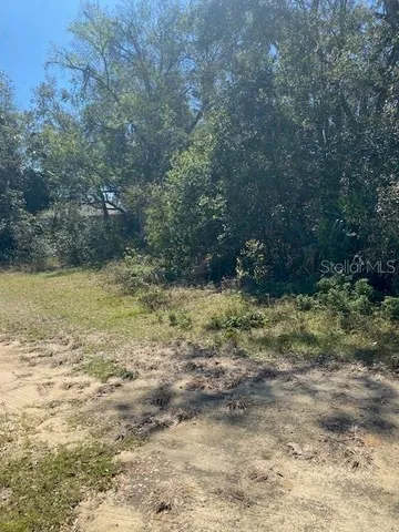 a backyard of a house with trees all around
