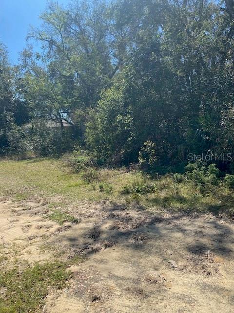 South Mary Street Eustis, FL 32726 - Photo 6 of 8 a view of a lake view