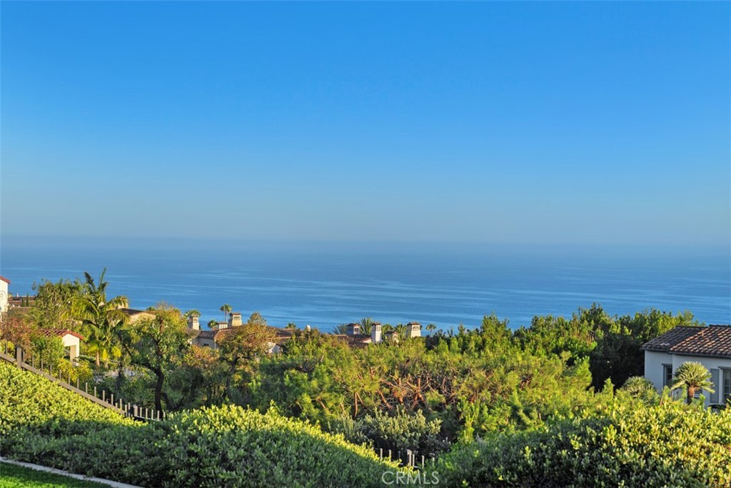 14 Rockshore Newport Coast, CA 92657 - Photo 59 of 75
