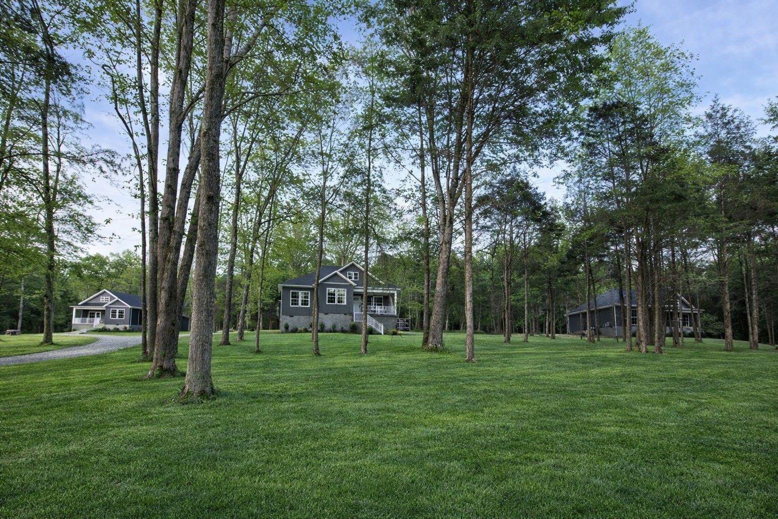 4619 Chapel Hill Road Southside, TN 37171 - Photo 26 of 28 a view of a park with trees in the background