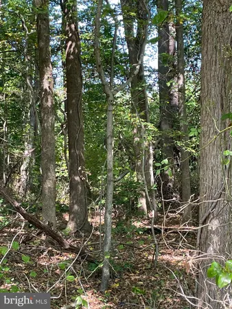 a view of an outdoor space