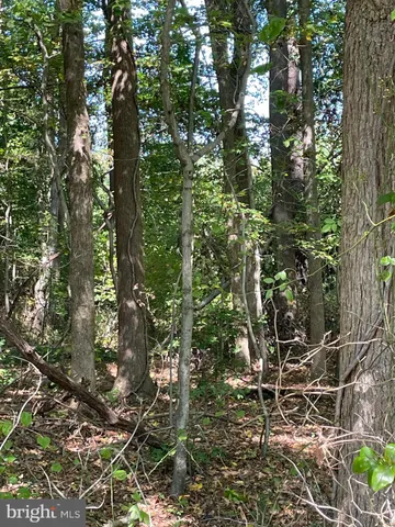 a view of an outdoor space