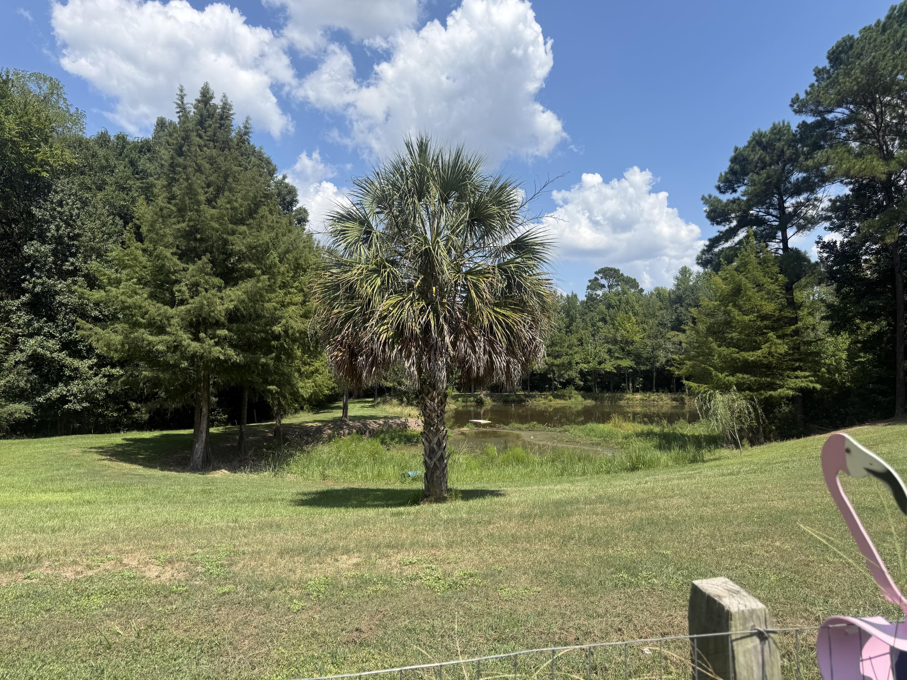 1217 East Brewington Road Sumter, SC 29153 - Photo 22 of 33 IMG_6726