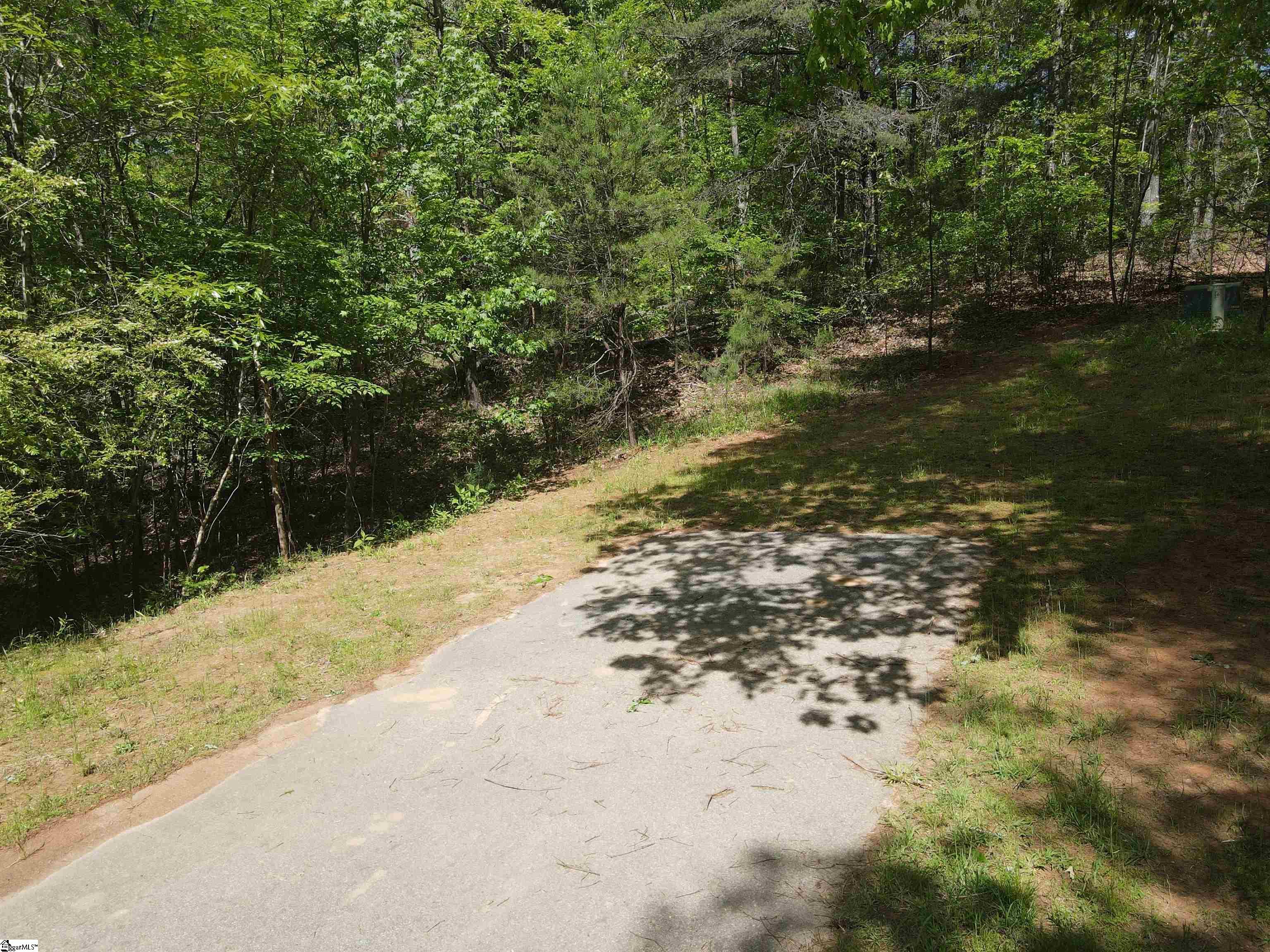 111 Princess Tree Way Sunset, SC 29685 - Photo 8 of 13