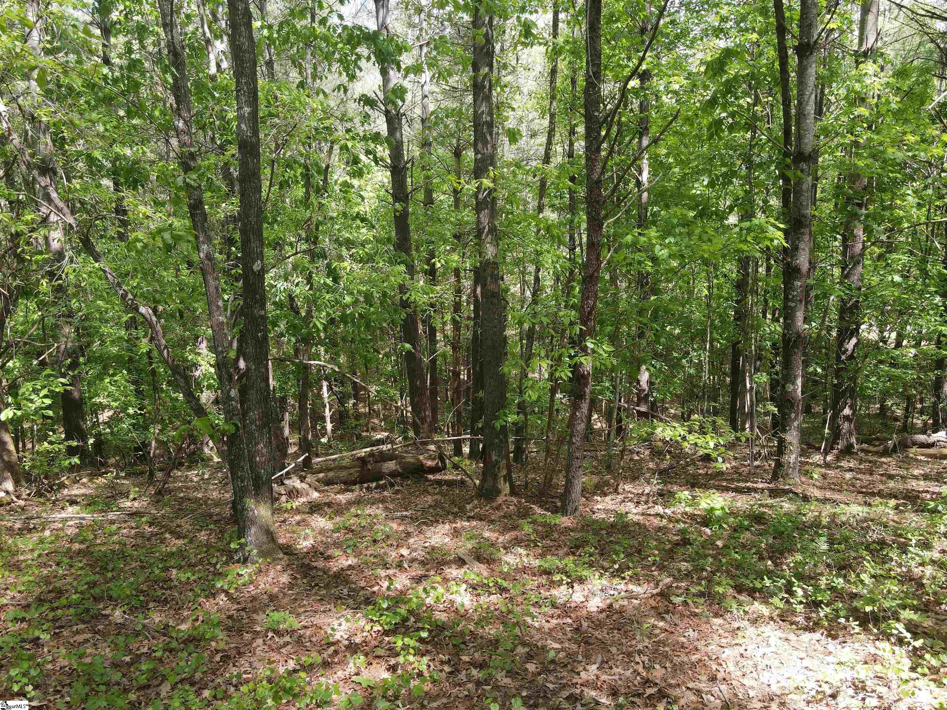 111 Princess Tree Way Sunset, SC 29685 - Photo 9 of 13
