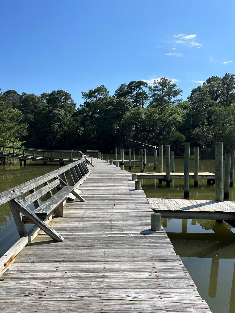 Lot 10 Plum Tree Road, Unit 10 Cape Charles, VA 23310 - Photo 4 of 8
