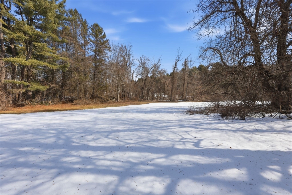 4452 High Street Palmer, MA 01069 - Photo 35 of 41 a view of outdoor space with trees