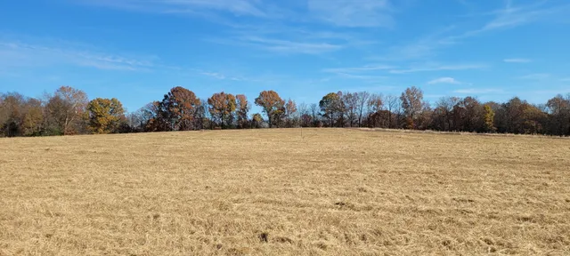 a view of a field with trees in the background