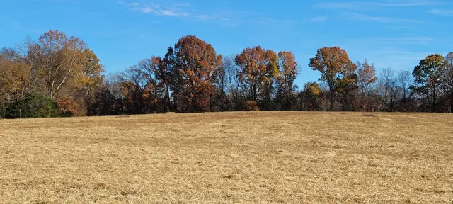 a view of mountain view with trees