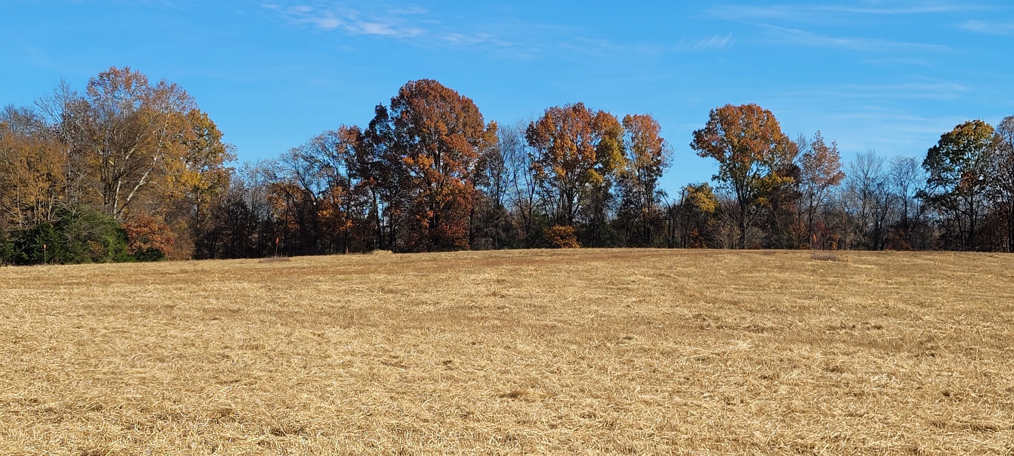 7 Mt Lebanon Church Road Shelbyville, TN 37160 - Photo 3 of 4 a view of mountain view with trees