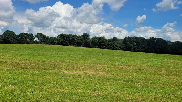 a view of field with trees in the background