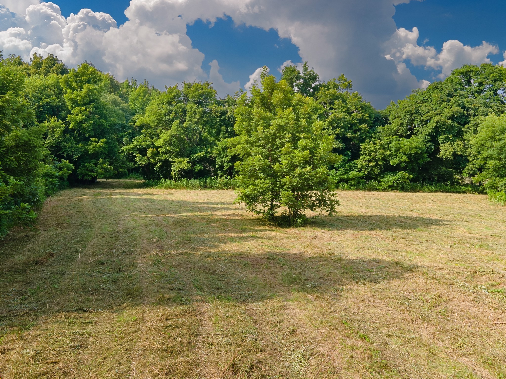 0 Dog Branch Road Goodspring, TN 38460 - Photo 31 of 46 Gallery Image 31