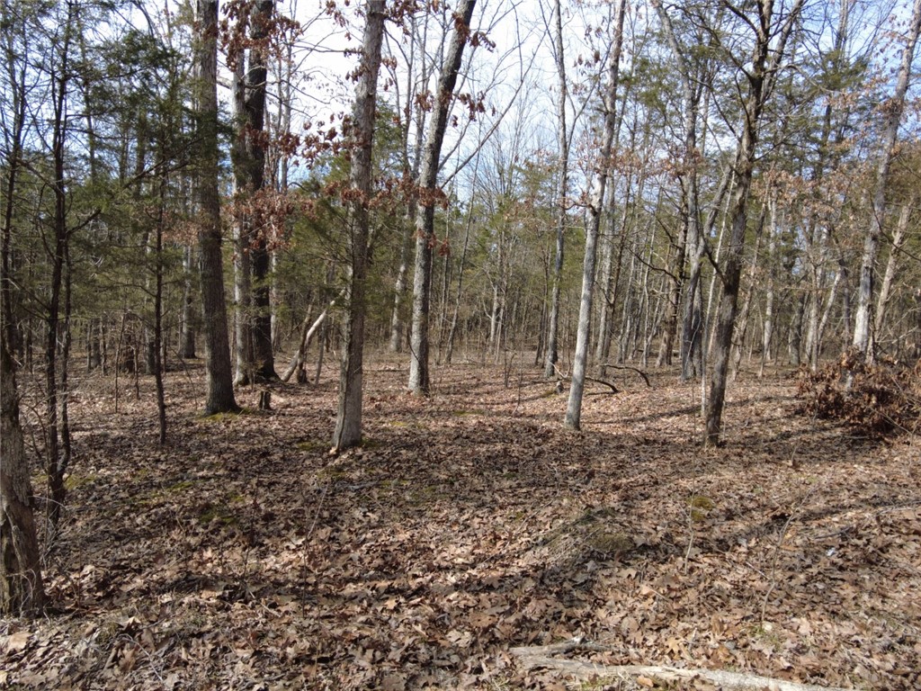 1897 Chestnut Ridge Road West Union, OH 45693 - Photo 4 of 61