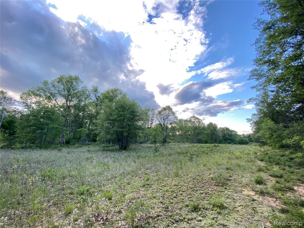 2800 West Maple Grove Road Farwell, MI 48622 - Photo 44 of 47 Gallery Image 44