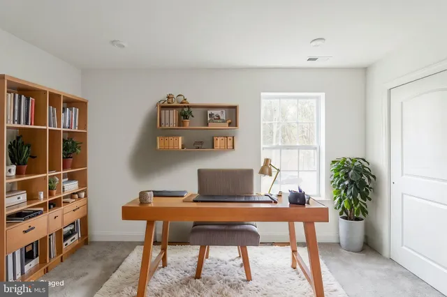 a living room with furniture a rug and a potted plant