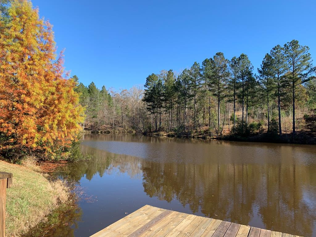 0 Highway 23 West Edgefield, SC 29824 - Photo 3 of 3
