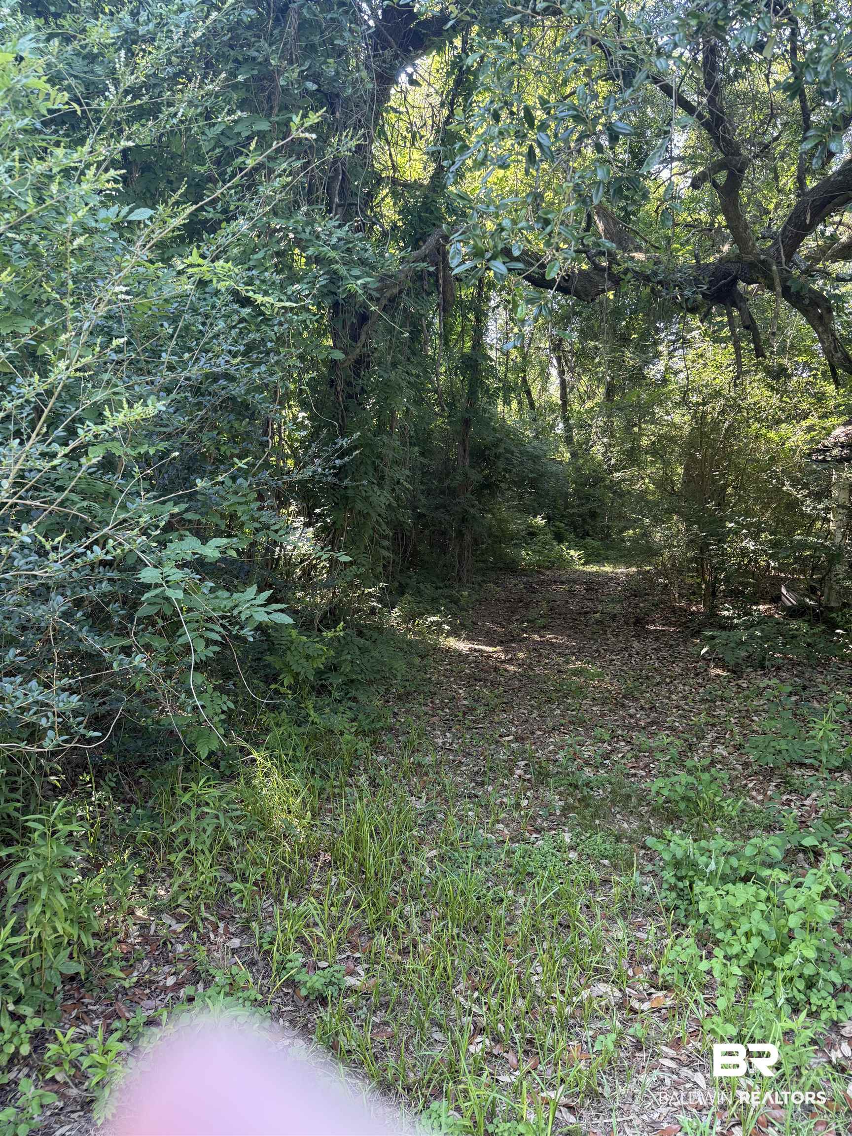 13259 Woodhaven Dairy Road West Silverhill, AL 36576 - Photo 2 of 3 View of undeveloped land