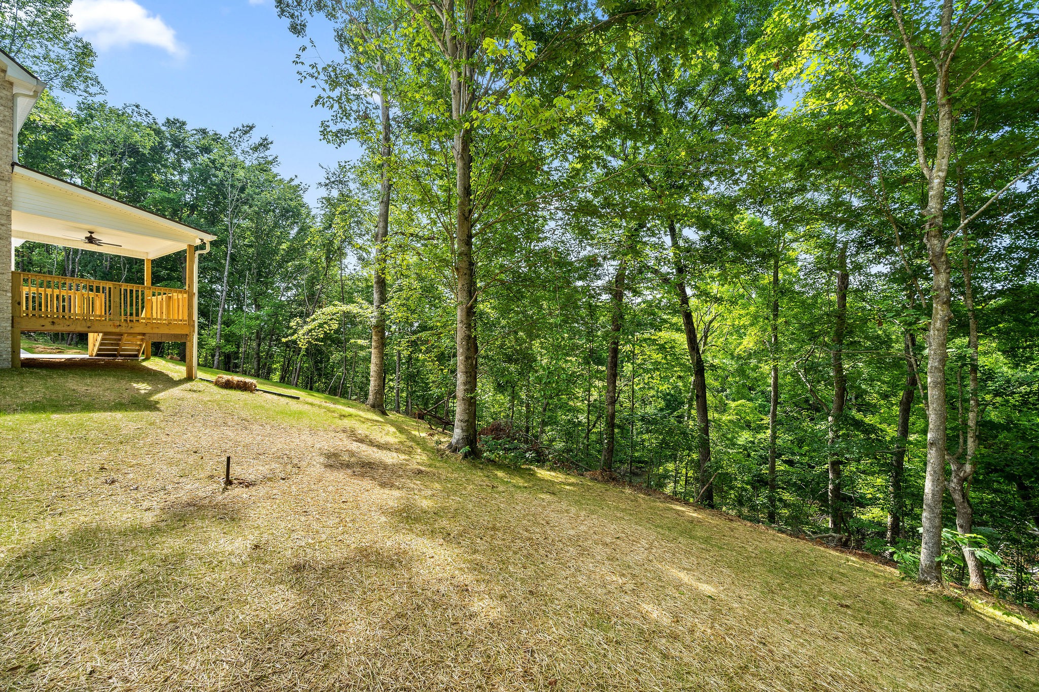 865 Ryes Chapel Road Southside, TN 37171 - Photo 22 of 25 Gallery Image 22