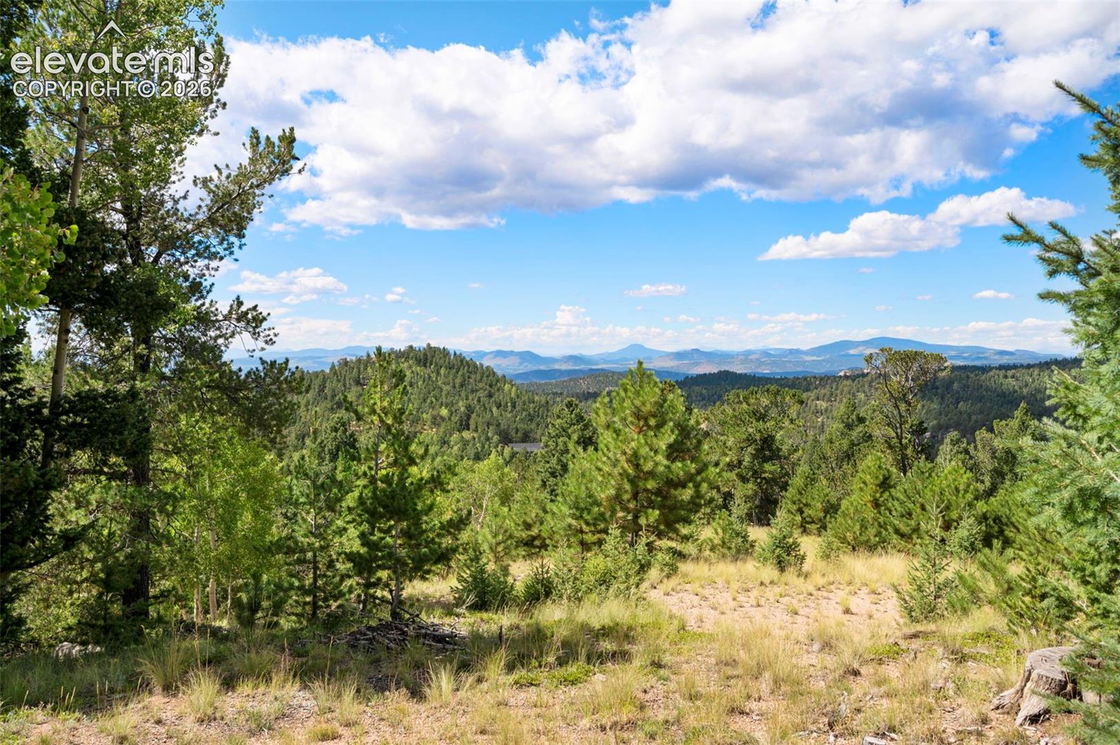 131 Paradiso Road Divide, CO 80814 - Photo 40 of 47 Secondary lot w/ well