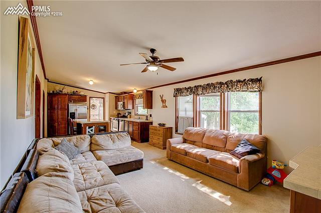 4445 Wileys Road Peyton, CO 80831 - Photo 16 of 36